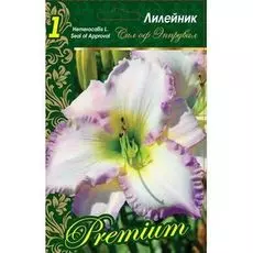 Лилейник Сил оф Эппрувал 1 шт Р9