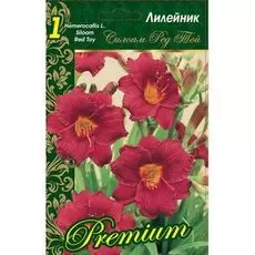 Лилейник Силоам Ред Той 1 шт Р9