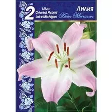 Лилия Лейк Мичиган 1 уп. (2 шт.)