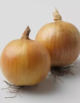 Лук репчатый Дедуля (Селекция "ВХ") 1гр цв.п