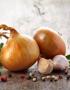 Лук репчатый Экстерн (Селекция "ВХ") 1гр цв.п