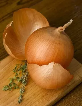 Лук репчатый Ледокол (УД) 0,25 г цв.п.