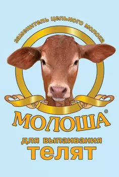 Молоша для телят 300 гр