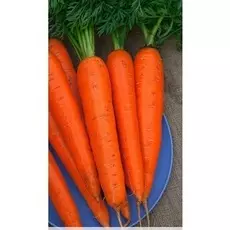 Морковь Император 2 гр б.п.