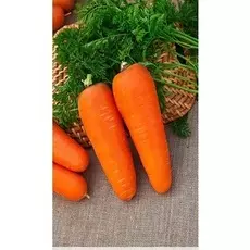 Морковь Королева осени (Лента ) 8 м