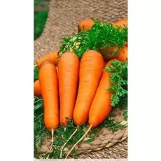 Морковь Курода Шантанэ 1 гр ц.п.