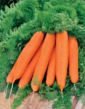 Морковь Леандр 2 гр б.п