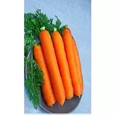 Морковь Лосиноостровская 13 (Гранулы) 300 шт