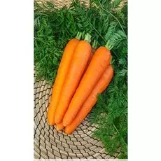 Морковь Роте Ризен 2 гр б.п.