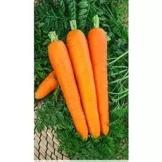 Морковь Роте Ризен 2 гр цв.п.