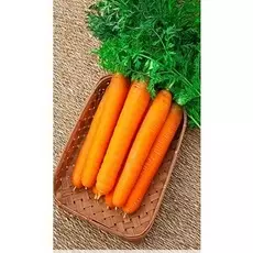 Морковь Самсон 1 гр цв.п.