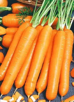 Морковь Сочная и сладкая (УД) 2 гр цв.п.