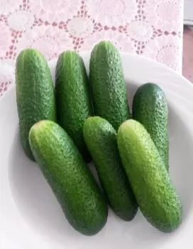 Огурец Алекс F1 (Bejo Zaden) 7шт цв.п.