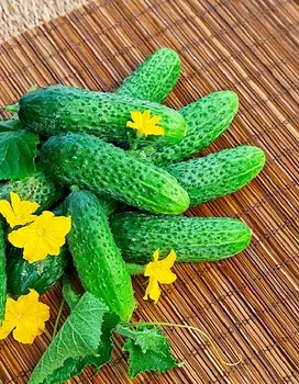 Огурец Игрушка F1 0,25г цв.п (Сибирская серия)