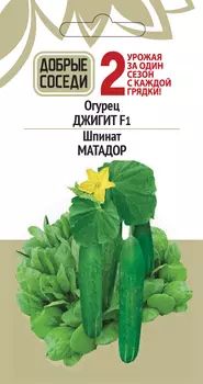 Огурец ИЗЯЩНЫЙ и Кориандр ЗДОРОВЯК