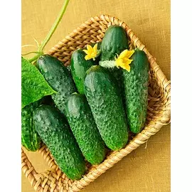 Огурец Курносик F1 (Селекция "ВХ") 0,25 гр цв.п