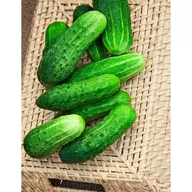 Огурец Любимец Хардвика 0,25 гр цв.п.