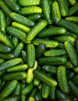 Огурец Профи F1 (УД) 8 шт