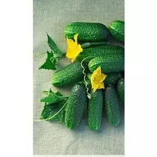 Огурец Салинас F1 10 шт. цв.п.