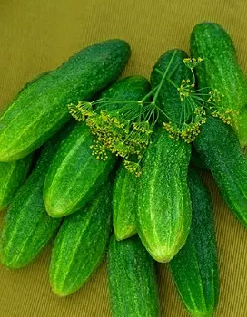 Огурец Самородок 0,25 гр цв.п (Био-старт)