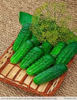 Огурец Серпантин 0,25 цв.п.