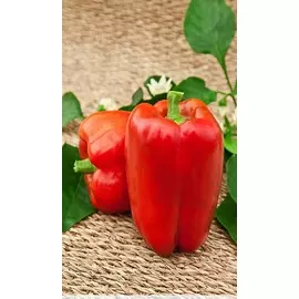 Перец сладкий Красное чудо 0,1 гр цв.п