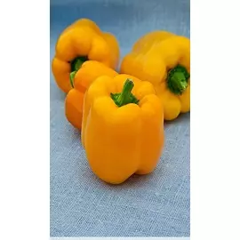 Перец сладкий Желтый колокол 0,1 гр б.п