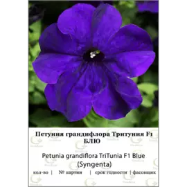 Петуния грандифлора Тритуния Блю (Syngenta) 100 др