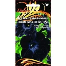 Петуния крупноцветковая Софистика Блэкберри 5 шт