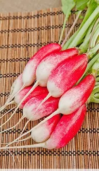 Редис 18 дней 3 г б.п.