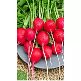 Редис Родос 3 гр б.п.