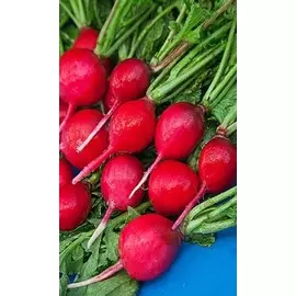 Редис Вера МС 3 гр б.п.