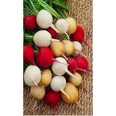 Редис Веселая семейка 2 гр цв.п.