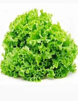 Салат Фантайм (Syngenta) 7 шт цв.п