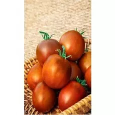 Томат Дастархан (Селекция "ВХ") 0,05 гр цв.п.