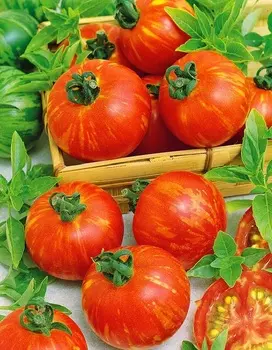 Томат Китайка медовая (Селекция "ВХ") 0,05 гр цв.п.