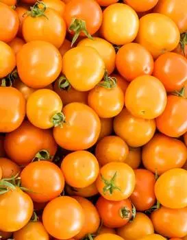 Томат Златовласка-черри (УД) 20 шт цв.п