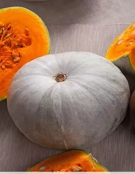 Тыква крупноплодная Крошка 2 гр б.п