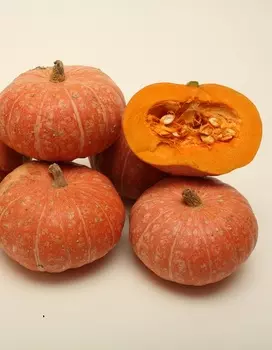 Тыква Ольга F1 10 шт цв.п