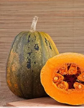 Тыква твердокорая Грибовская Кустовая 189 2 гр б.п