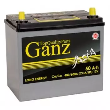 ASIA 50R (60B24L) 480А Обратная полярность 50 Ач (236x128x220)