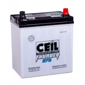 EFB M42 B20L (40R)420А Обратная полярность 40 Ач (197x127x220)