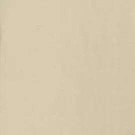 10016-05 Обои Артекс (Том 1) (1*6) 10,05x1,06 винил на флизелине