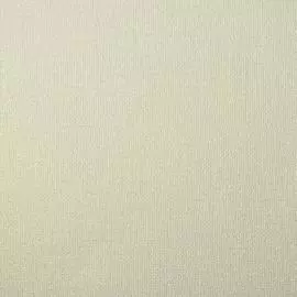 10020-02 Обои Артекс (Том 1) (1*9) 10,05x1,06 винил на флизелине