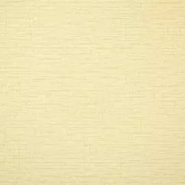 10048-01 Обои Артекс (Том 2) (1*6) 10,05x1,06 винил на флизелине