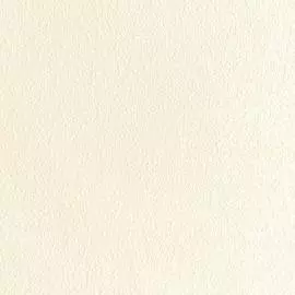 10101-04 Обои Артекс (Детство Артекс) (1*9) 10,05x1,06 винил на флизелине