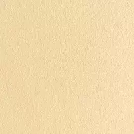 10101-06 Обои Артекс (Детство Артекс) (1*9) 10,05x1,06 винил на флизелине