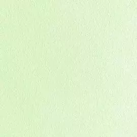 10101-07 Обои Артекс (Детство Артекс) (1*9) 10,05x1,06 винил на флизелине