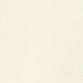 10152-02 Обои Артекс (Стиль Города) (1*6) 10,05x1,06 винил на флизелине