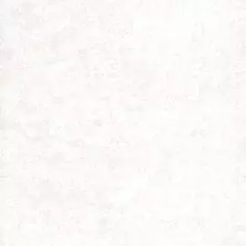 1764-01 Обои Erismann (Keneo) (1*12) 10,05x0,53 флизелин